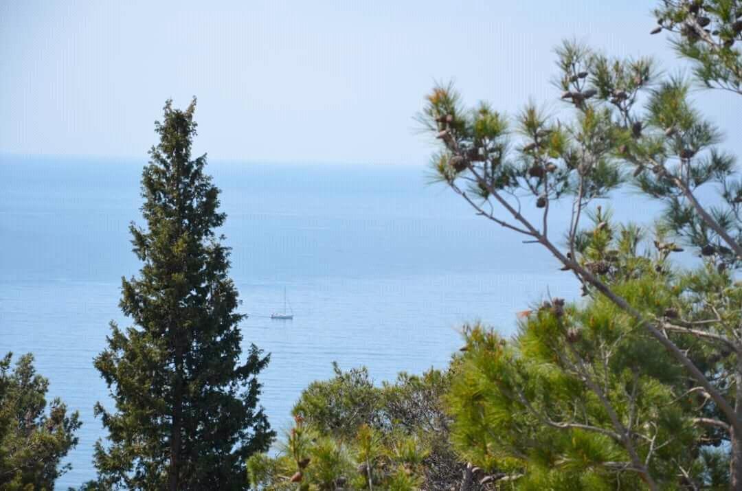 Villa Roan Бар Экстерьер фото